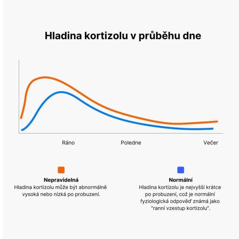 Návrh bez názvu (46)
